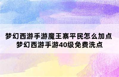 梦幻西游手游魔王寨平民怎么加点 梦幻西游手游40级免费洗点